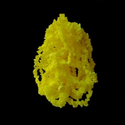 12 collares de papel crepe