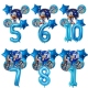 Bouquet de globos Sonic n3